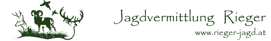 Jagdvermittlung Rieger